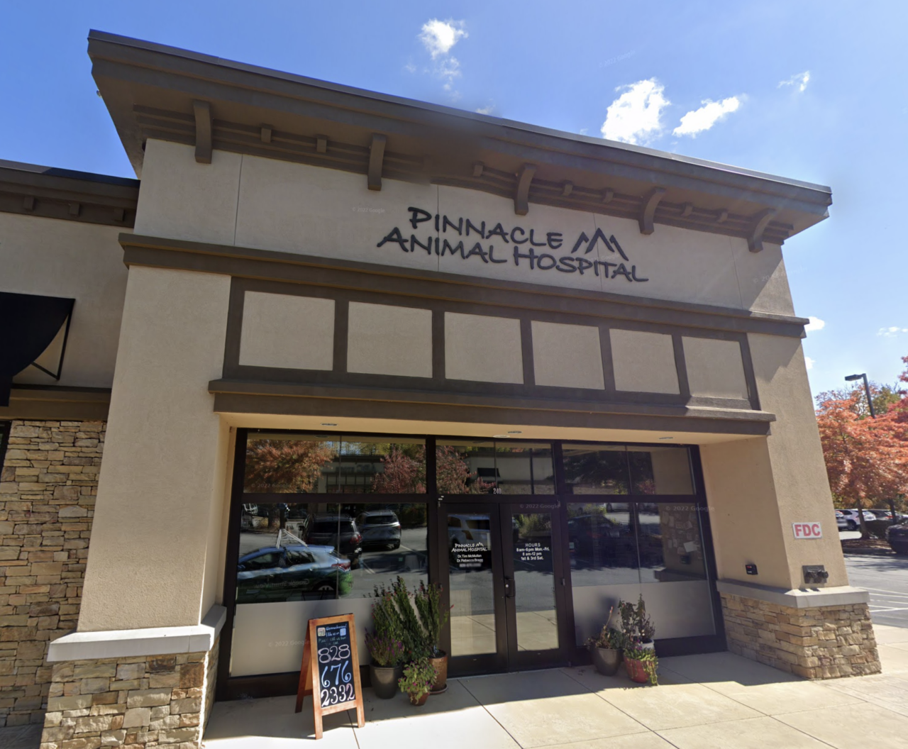 Best vet hospital in arden nc pinnacle animal hospital