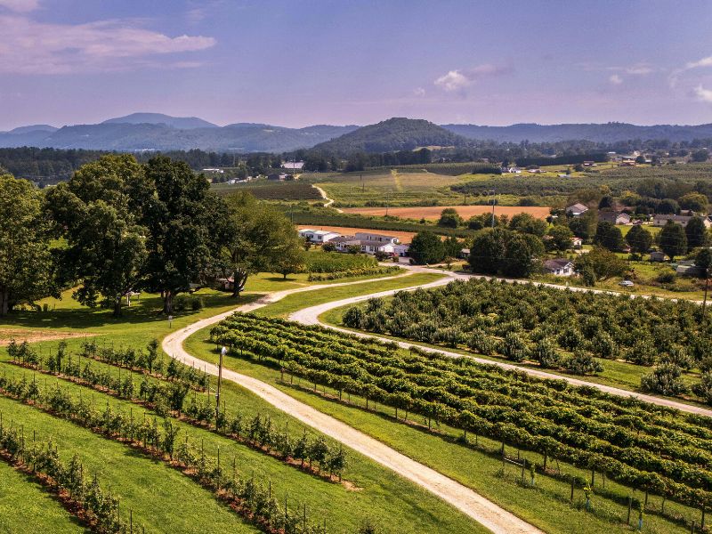 North Carolina aerial view