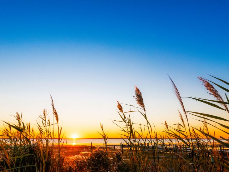 North Carolina Sunset