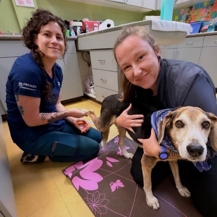 two smiling veterinary professionals pose with a brown-and-white dog
